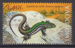 MOLDOVA 2023 Faune.Red Book Of Republic Of Moldova. Reptiles And Batrachians.Brotacel.Lizard.1 St MNH - Serpents