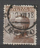 1918 Italia Venezia Tridentina, Trentino Alto Adige Mi.23 40c Braun (Cat 45 €) - Trente