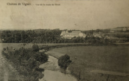 Chateau De Vignee (Rochefort) Vue De La Route Du Givet 1907? - Rochefort