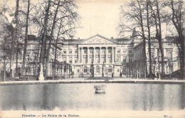 BELGIQUE - Bruxelles - Le Palais De La Nation - Carte Postale Ancienne - Monumenti, Edifici