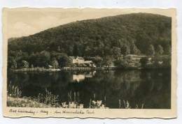 AK 154306 GERMANY - Bad Lauterberg I. Harz - Am Wiesenbeker Teich - Bad Lauterberg