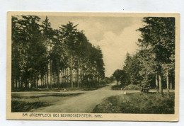 AK 154316 GERMANY - Am Jägerfleck Bei Benneckenstein / Harz - Unterharz