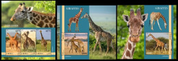 Liberia  2023 Giraffes. (106) OFFICIAL ISSUE - Giraffe