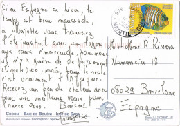 51343. Postal Aerea  MAMOUDZOU (Mayotte) 2000. Vistas Varias, Coconu, Boueni, Ilot De Sada - Briefe U. Dokumente