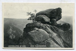 AK 154324 GERMANY - Westerklippen Im Harz - Blick N. D. Ilsenstein - Unterharz