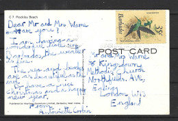 BARBADE. N°481 De 1979 Sur Carte Postale. Colibri. - Colibris