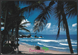 BARBADE. Carte Postale écrite En 1991. Plage. - Barbados (Barbuda)