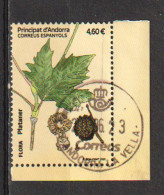 2023.ANDORRA. FLORA . PLATANER , Sello Cancelado Andorra, 1ra Calidad. Alto Valor Facial - Used Stamps