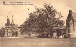 CPA - BELGIQUE - Château De TRAZEGNIES - Cour D'Honneur - Ensemble Et Célèbre Platane - Other & Unclassified