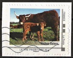 France "Montimbramoi " Cows Salers - Koeien