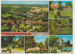 Fallingbostel, Niedersachsen - Fallingbostel