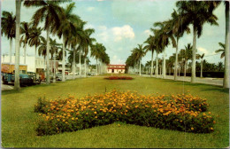 Florida Palm Beach Royal Poinciana Way 1954 - Palm Beach