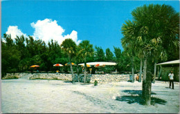 Florida St Petersburg Fort De Soto Park View Of Snack Bar And Patio Area - St Petersburg