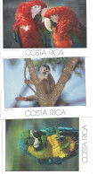 Lote 3 Postales Postcards  - Mono Titi Y Aves Tropicales – Tema: Fauna – Costa Rica – Sin Uso - Verzamelingen & Kavels