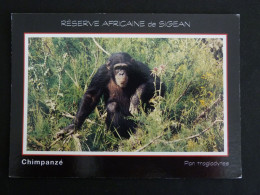 SIGEAN - AUDE - RESERVE AFRICAINE CHIMPANZE SINGE MONKEY - Sigean