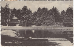 Nunspeet. Oranjepark - (Gelderland, Nederland//Holland) - 1962 - Eenden - Nunspeet