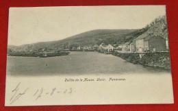 YVOIR  -  Panorama   -  1903 - Yvoir