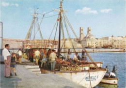 MOLFETTA - BARI - PANORAMA DEL PORTO CON PESCATORI - PESCHERECCIO MICHELE S. - CATTEDRALE - 1971 - Molfetta