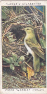 Birds & Their Young 1938,  Players Cigarette Card - 48 Wood Warbler - Player's