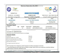 India Railway / Train Ticket With LOGO's Of INDIAN RAILWAYS, IRCTC, G-20 Summit, Azadi Ka Amrit Mahotsav As Per Scan - World