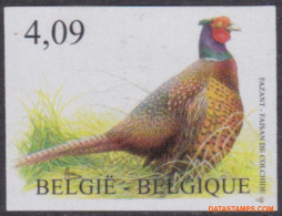 België 2010 - Mi:4089, Yv:4027, OBP:4046, Stamp - □ - Birds Pheasant - 2001-…