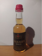 Liquore Mignon - Brandy Black - Miniature