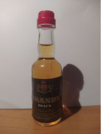 Liquore Mignon - Brandy Black - Miniaturflaschen