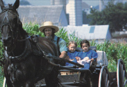 USAPA 02 05 - AMISH COUNTY - Lancaster