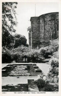 England Colchester - Castle & Lily Pond Tuck Card - Colchester