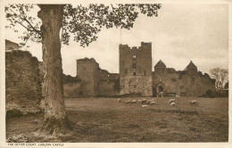 England Ludlow Castle - Outer Court Historical Landmark - Shropshire