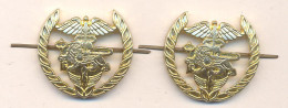 Armenia.Police Officer Insignia. Department Of Customs. - Police