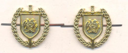 Armenia.Police Officer Insignia . - Police