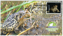 USA 2023 Wyoming Toad, Endangered Species, Reptile,Frog, ,Pictorial Postmark, FDC Cover (**) - Covers & Documents