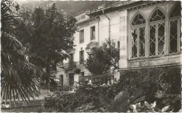 CPSM  Amélie Les Bains  Hotel Des Thermes - Amélie-les-Bains-Palalda