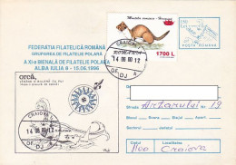 POLAR PHILATELY, POLAR PHILATELIC EXHIBITION, WHALE, COVER STATIONERY, ENTIER POSTAL, 1996, ROMANIA - Events & Commemorations