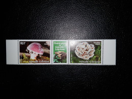 Caledonia 2020 Caledonie Mushroom PANUS Champignon Pilz Fungi 2v +label Mnh - Unused Stamps