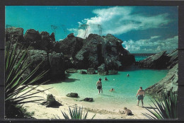 BERMUDES. Carte Postale écrite En 1981. Plage Aux Bermudes. - Bermuda