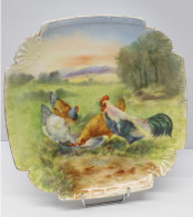 -JOLI ANCIEN PLAT PORCELAINE Décor Peint D'un COQ & 3 POULES COLLECTION DECO  E - Autres & Non Classés