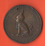 Italia Medaglia Risorgimento Ai Collaboratori E Veterani Ex Granducato Di Toscana 1884 Risorgimentali Copper Medal - Italie