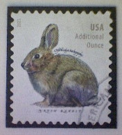 United States, Scott #5544, Used(o), 2021 Definitive, Brush Rabbit, (20¢), Gray - Oblitérés