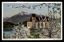 Frühling Bei Risch Am Zugersee Mit Rigi - Risch-Rotkreuz