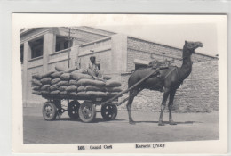 Karachi - Camel Cart - Pakistan