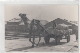 Karachi - Camel Cart And Railroad In The Background - Pakistán