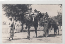 Pakistan? India? - Camels With People - Pakistán