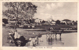 Portugal -Golegã  Circulou Para Monte Estoril  Em 1954 - Santarem