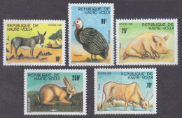 1981 Upper Volta  851-855 Domestic Animals 6,50 € - Konijnen