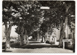 CP 83 - La Roquebrussanne L'entrée Du Village - La Roquebrussanne