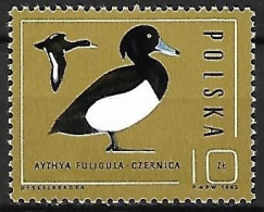 Poland - MNH ** 1985 :   Tufted Duck   -  Aythya Fuligula - Canards