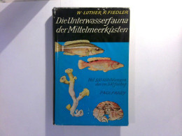Die Unterwasserfauna Der Mittelmeerküsten - Ein Taschenbuch Für Biologen Und Naturfreunde - Dieren