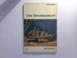 Das Schulaquarium - Das Vivarium - Animaux